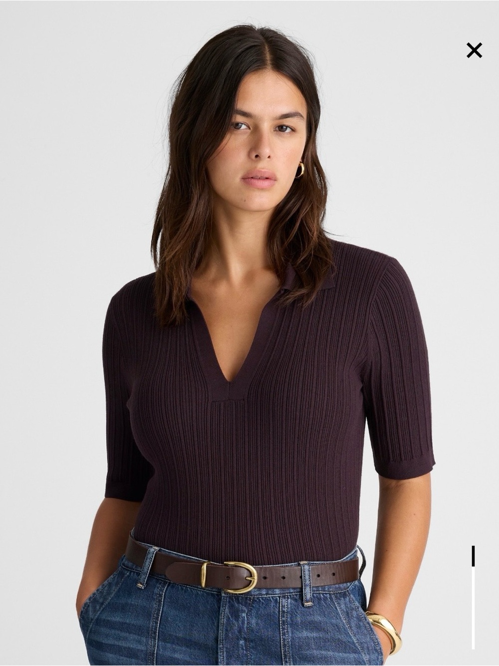 Madewell Plum Ribbed V-Neck Polo Sweater